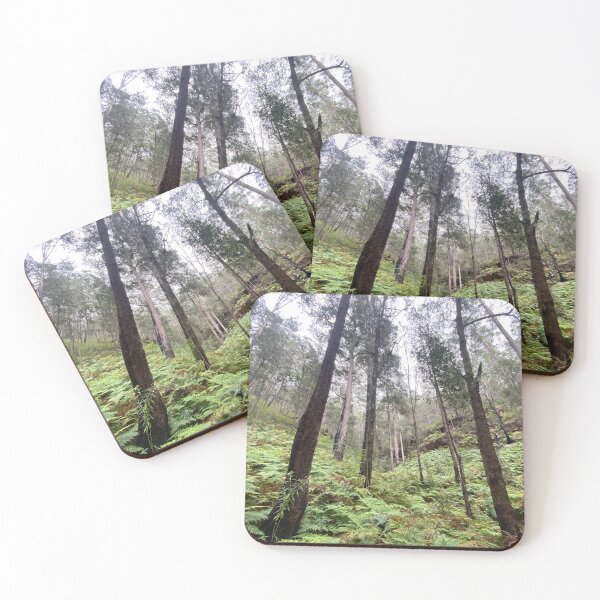 Item preview, Tall Trees- Fern Gully - Australian bushland designed and sold by Arcane Botanica.