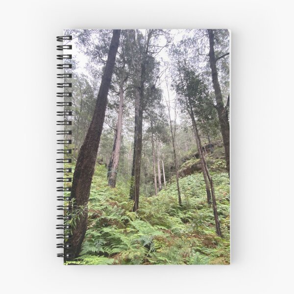 Item preview, Tall Trees- Fern Gully - Australian bushland designed and sold by Arcane Botanica.