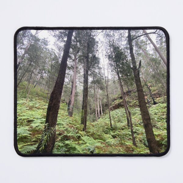 Item preview, Tall Trees- Fern Gully - Australian bushland designed and sold by Arcane Botanica.