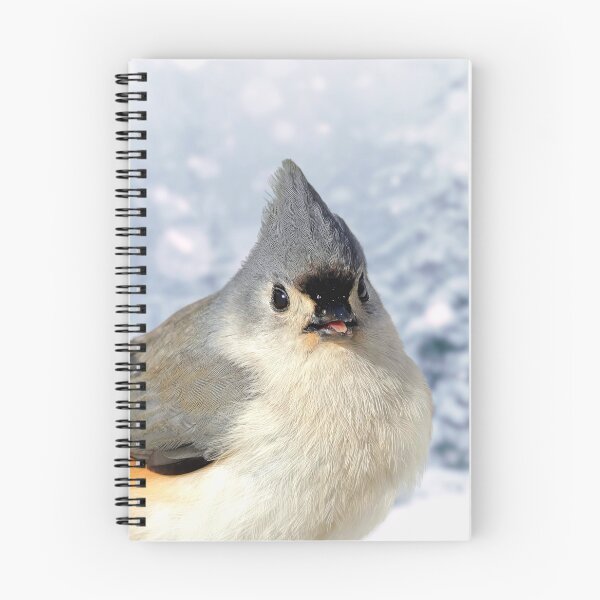 Item preview, Bird Blip by Haley Cran designed and sold by True Bliss  Nature.