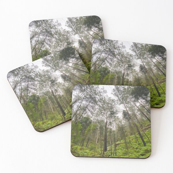 Item preview, Tall Tree - Fern Gully designed and sold by Arcane Botanica.