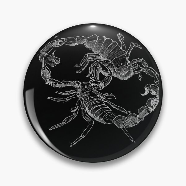 Artikelvorschau, "Scorpion's Dance" Jamies handgezeichnete Skorpion-Sammlung entworfen und verkauft von Rocky Hollow Gardens.