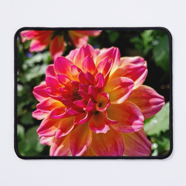 Item preview, Show Stopper designed and sold by TSinclairArt.