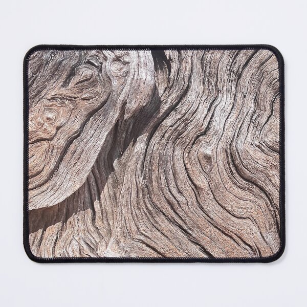 Item preview, Textured Tree Bark Patterns designed and sold by Nicola Morgan.