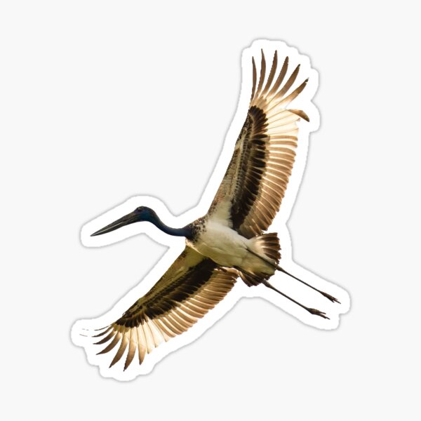 Item preview, Flying Black-Necked Stork designed and sold by ybeesa-art.