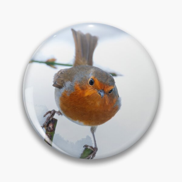 Item preview, Robin perched on a rose stalk in snow designed and sold by AndrewJonesFoto.
