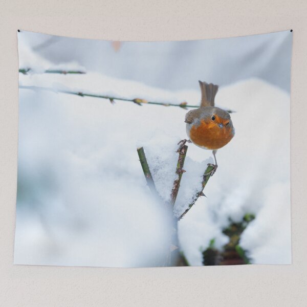 Item preview, Robin perched on a rose stalk in snow designed and sold by AndrewJonesFoto.