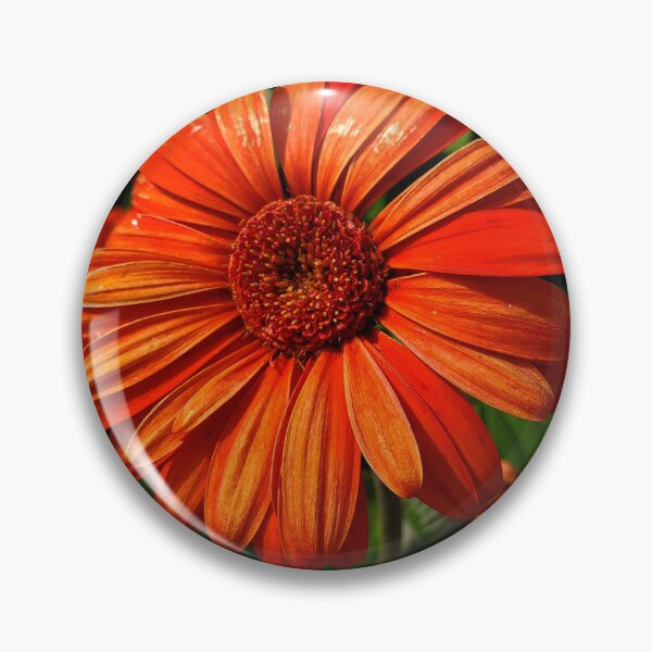 Item preview, Orange You Happy designed and sold by TSinclairArt.