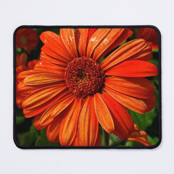 Item preview, Orange You Happy designed and sold by TSinclairArt.