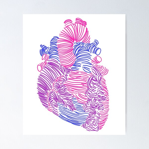 Item preview, Bisexual Anatomical Heart designed and sold by hinklepup.