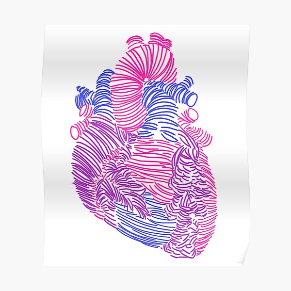 Bisexual Anatomical Heart Poster