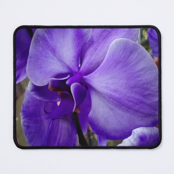 Item preview, Purple Aces designed and sold by TSinclairArt.