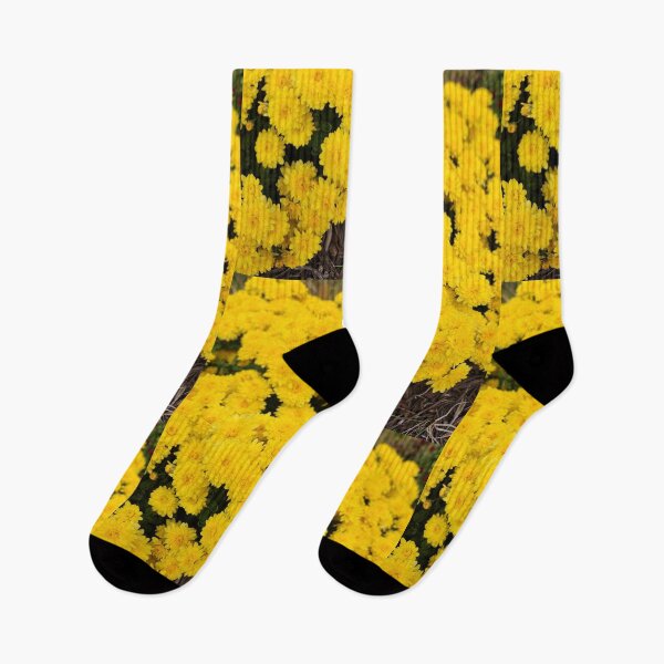 Item preview, Mellow Yellow designed and sold by TSinclairArt.