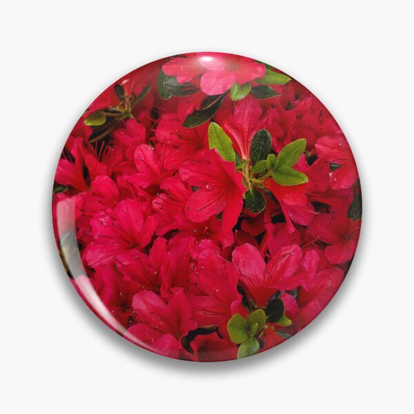 Item preview, Seeing Red designed and sold by TSinclairArt.