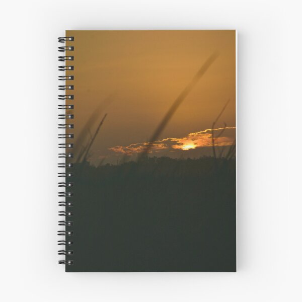 Item preview, Apopka Wildlife Drive Sunrise  designed and sold by MercerImages.