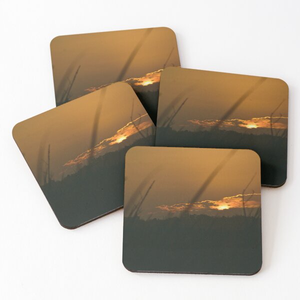 Item preview, Apopka Wildlife Drive Sunrise  designed and sold by MercerImages.