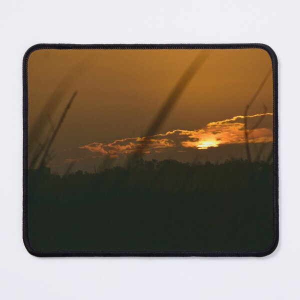 Item preview, Apopka Wildlife Drive Sunrise  designed and sold by MercerImages.