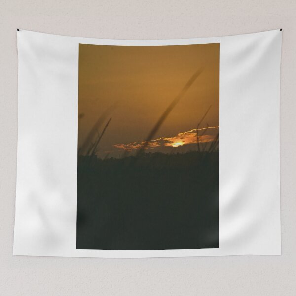 Item preview, Apopka Wildlife Drive Sunrise  designed and sold by MercerImages.