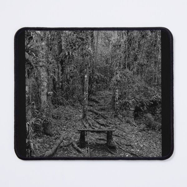 Item preview, Brazilian Nature by Roberto Pereira Lens The Bench designed and sold by Helios Be. Lavsh.