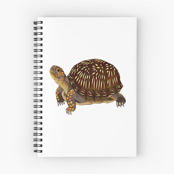 Item preview, Three-toed Box Turtle designed and sold by Rie-TortoTurtle.