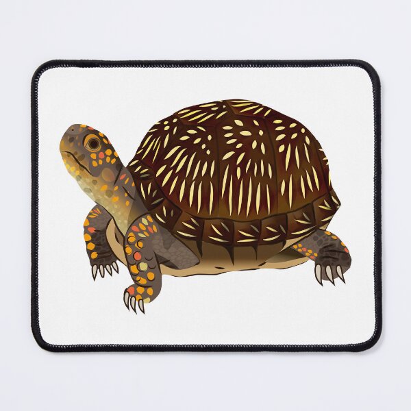 Item preview, Three-toed Box Turtle designed and sold by Rie-TortoTurtle.