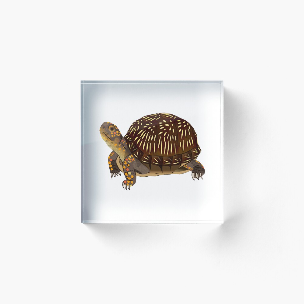 Item preview, Acrylic Block designed and sold by Rie-TortoTurtle.