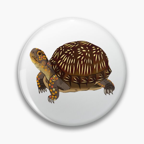 Item preview, Three-toed Box Turtle designed and sold by Rie-TortoTurtle.