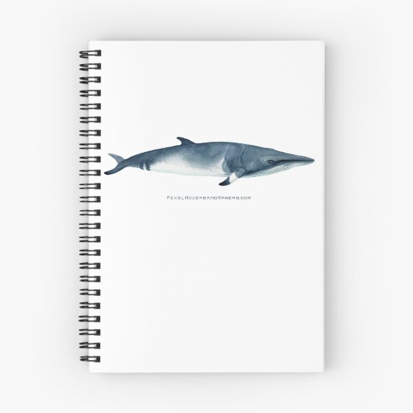 Item preview, Minke Whale designed and sold by PixelMnM.