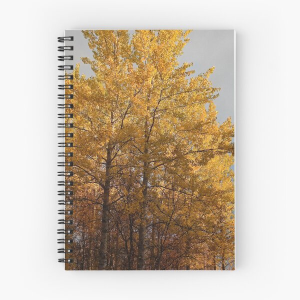 Aperçu de l'œuvre Couleurs d'automne créée et vendue par Northlogic.
