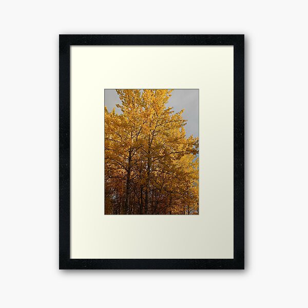 Autumn Colors Framed Art Print