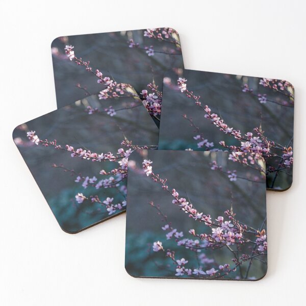 Item preview, Original photo of blossom in a patch of sunlight designed and sold by LillyWattsPhot.