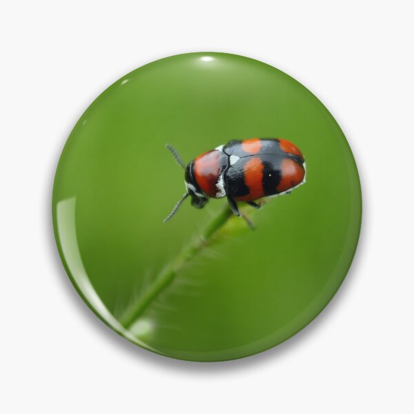 Item preview, Ladybug, Coccinellidae designed and sold by trucomanx.