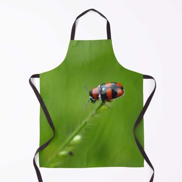 Item preview, Ladybug, Coccinellidae designed and sold by trucomanx.