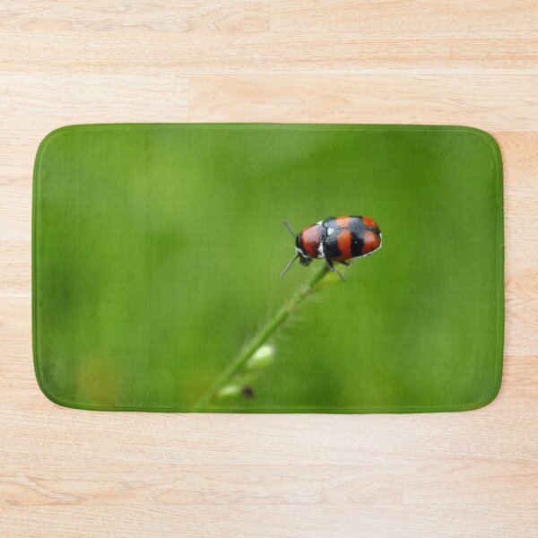 Item preview, Ladybug, Coccinellidae designed and sold by trucomanx.