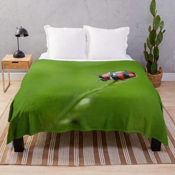 Item preview, Ladybug, Coccinellidae designed and sold by trucomanx.