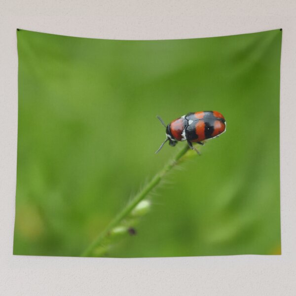 Item preview, Ladybug, Coccinellidae designed and sold by trucomanx.