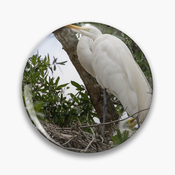 Item preview, Egret Guarding its Babies, Winter Park, Florida designed and sold by jrtwynam.