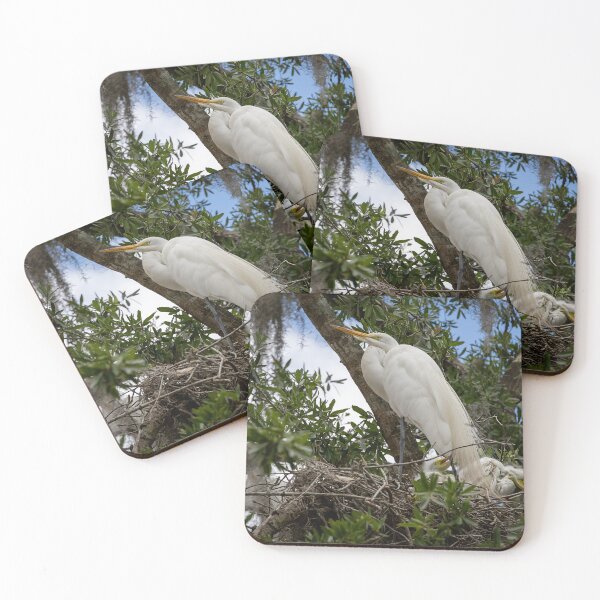 Item preview, Egret Guarding its Babies, Winter Park, Florida designed and sold by jrtwynam.