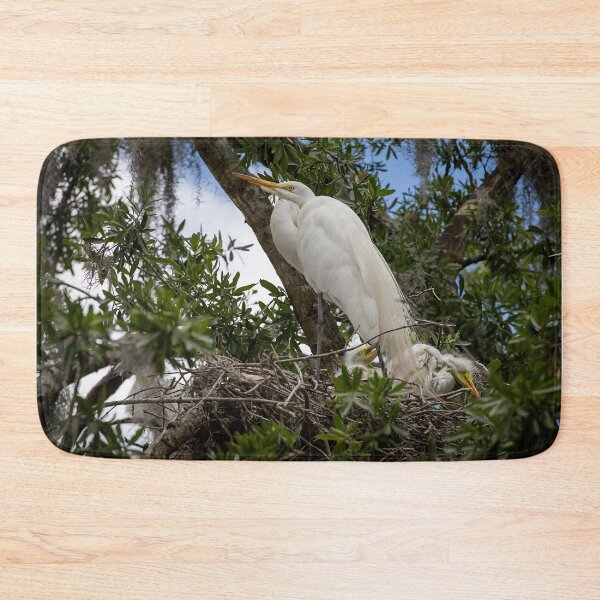 Item preview, Egret Guarding its Babies, Winter Park, Florida designed and sold by jrtwynam.