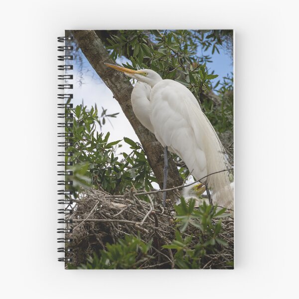 Item preview, Egret Guarding its Babies, Winter Park, Florida designed and sold by jrtwynam.