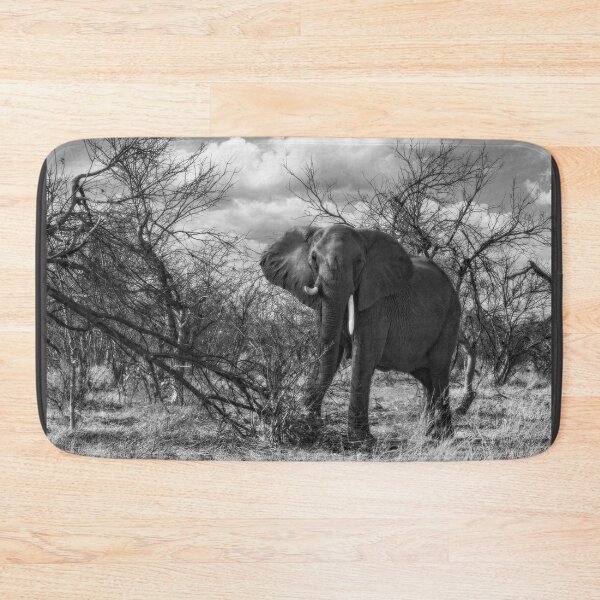 Item preview, Charging Elephant in Black and White designed and sold by Kay Brewer.