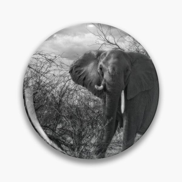 Item preview, Charging Elephant in Black and White designed and sold by Kay Brewer.