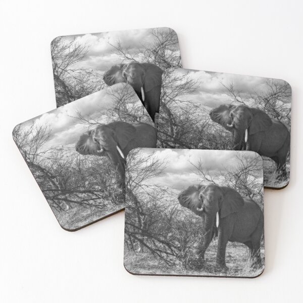 Item preview, Charging Elephant in Black and White designed and sold by Kay Brewer.