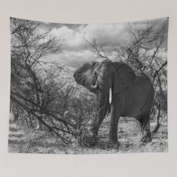 Item preview, Charging Elephant in Black and White designed and sold by Kay Brewer.
