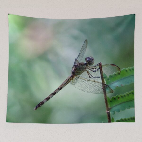 Item preview, Beautiful dragonfly  designed and sold by Jmb67.