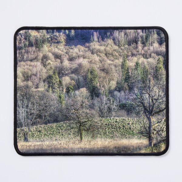 Item preview, Lake District Autumn Vista designed and sold by Londonimages.