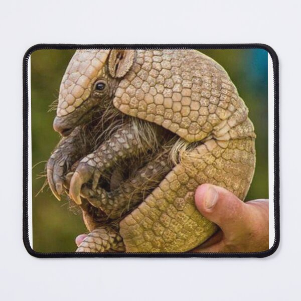 Item preview, Armadillo designed and sold by PatronesKawai.