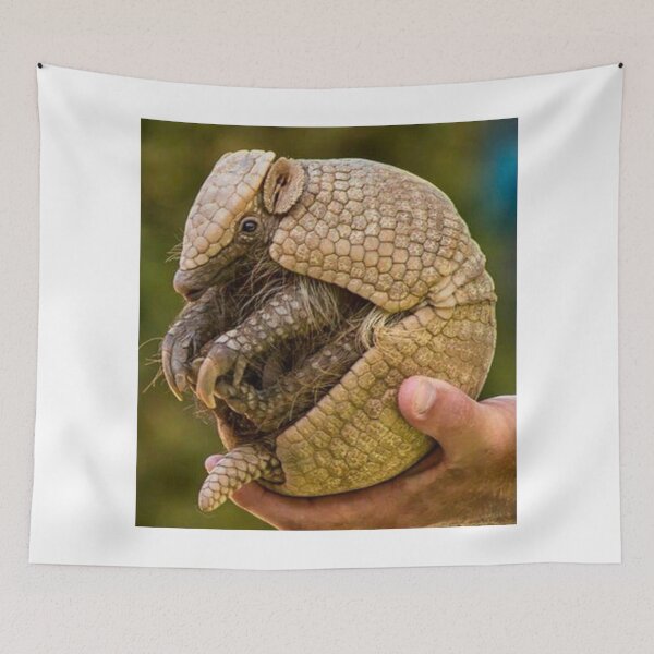 Item preview, Armadillo designed and sold by PatronesKawai.