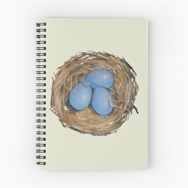 Item preview, Bird Eggs, Blue Eggs in Nest, Springtime designed and sold by JoyfulWhimsy.
