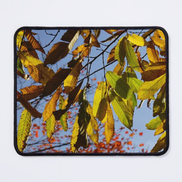 Item preview, Autumn in Switzerland designed and sold by nikawanders.